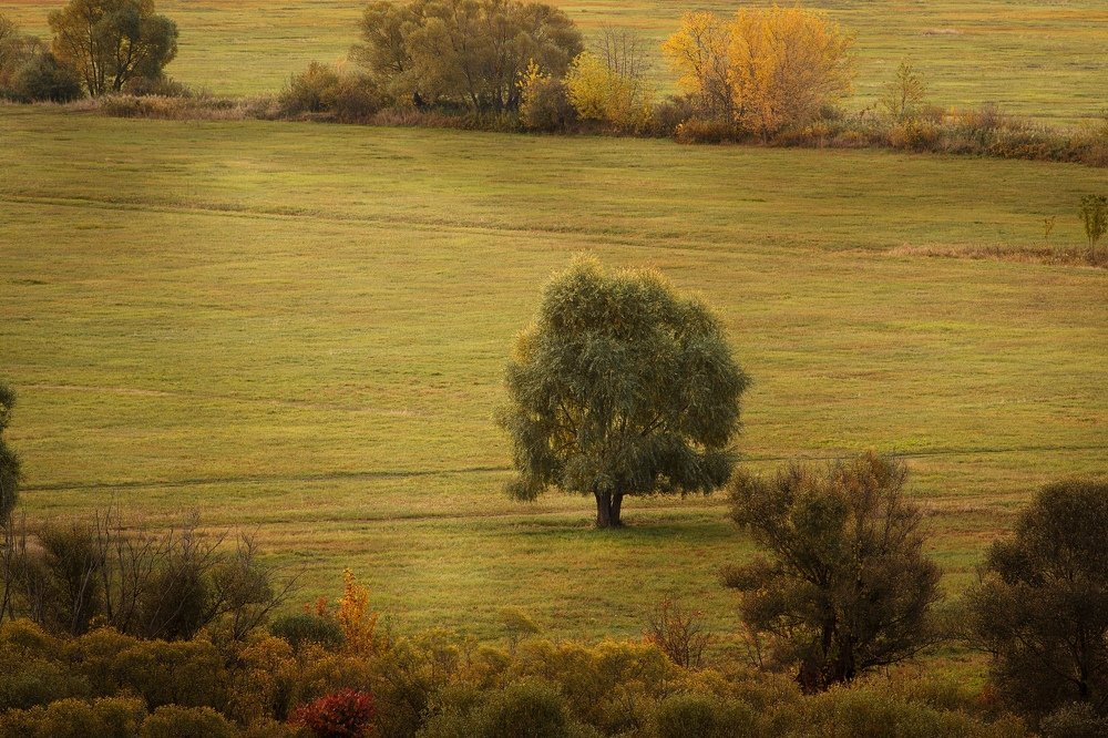 Фотография автора Евгений Подгорнов