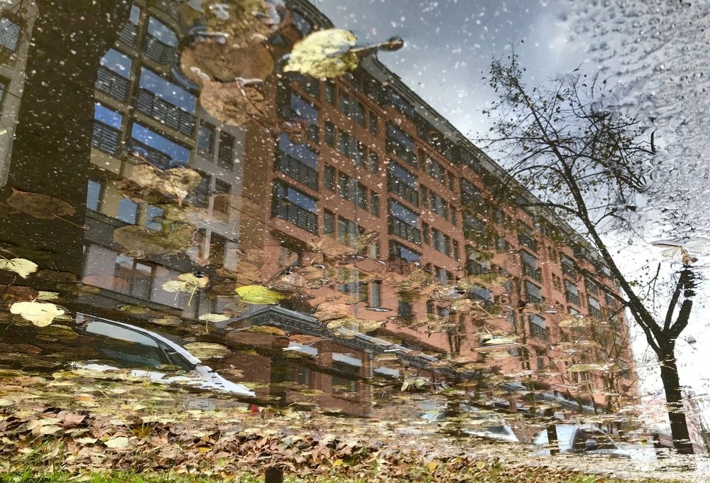 Фотография автора Андрей Симонов