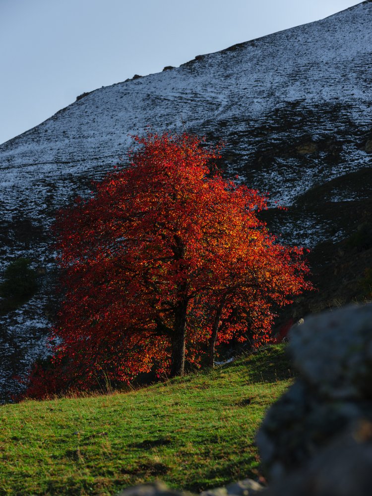 Photograph by Даниил Рождественский