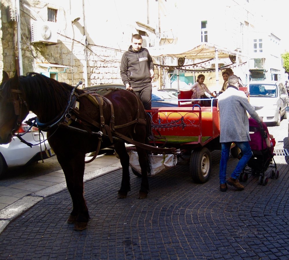 Photograph by Albert Russo