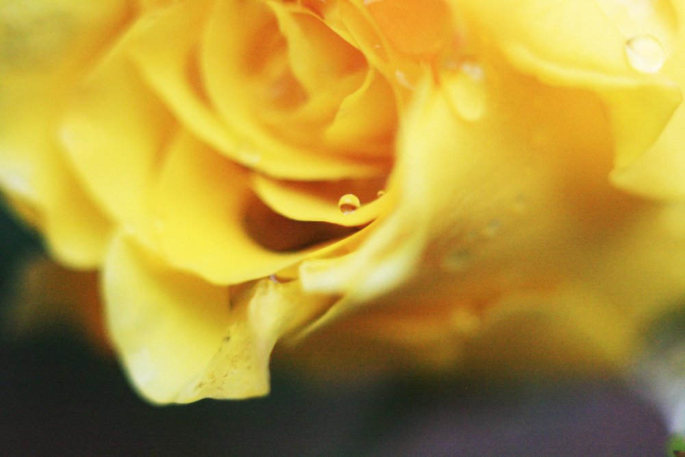 Photograph by Варвара Мелузова