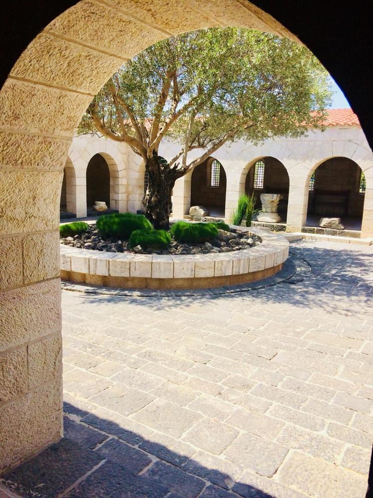 Photograph by Алина Смирнова