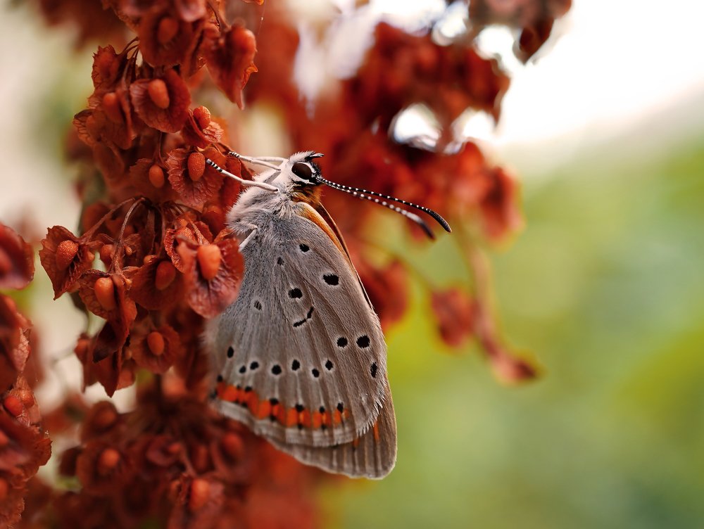 Photograph by Мария Загоревская