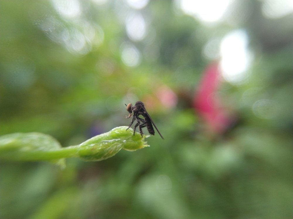 Photograph by Anurag C C