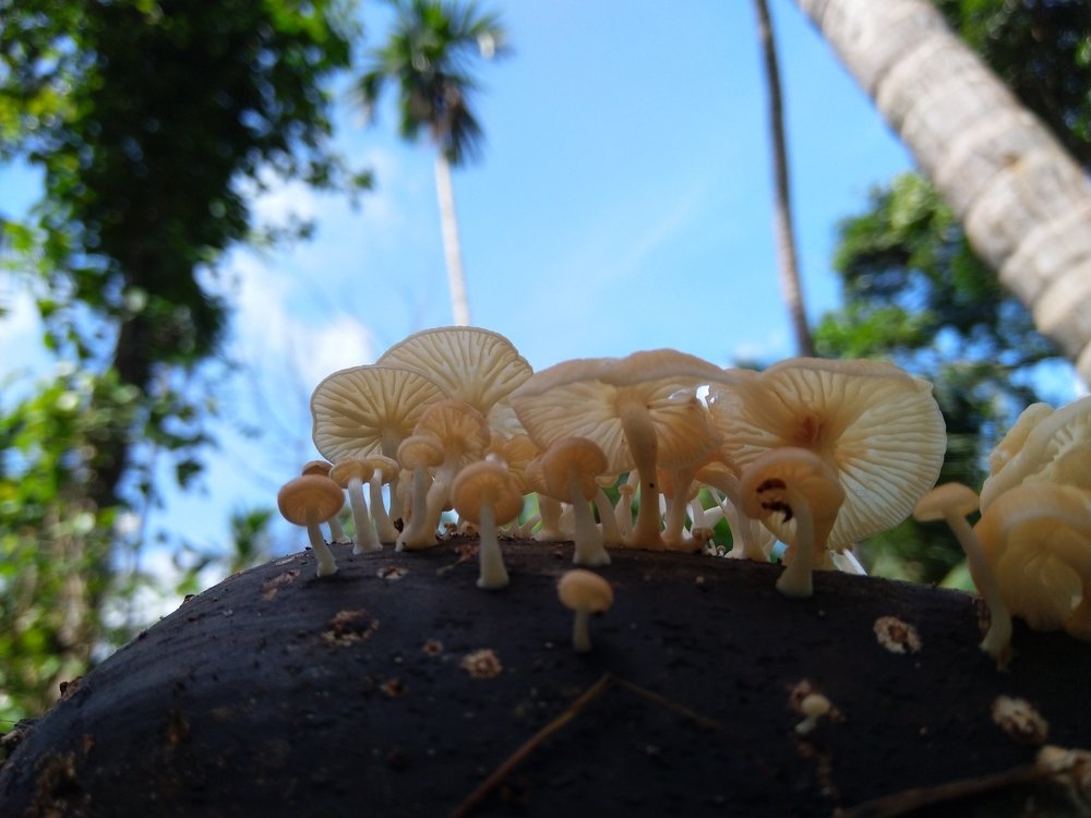 Photograph by Anurag C C