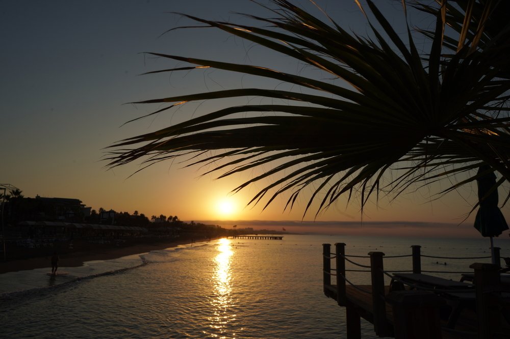 Photograph by Мария Загоревская