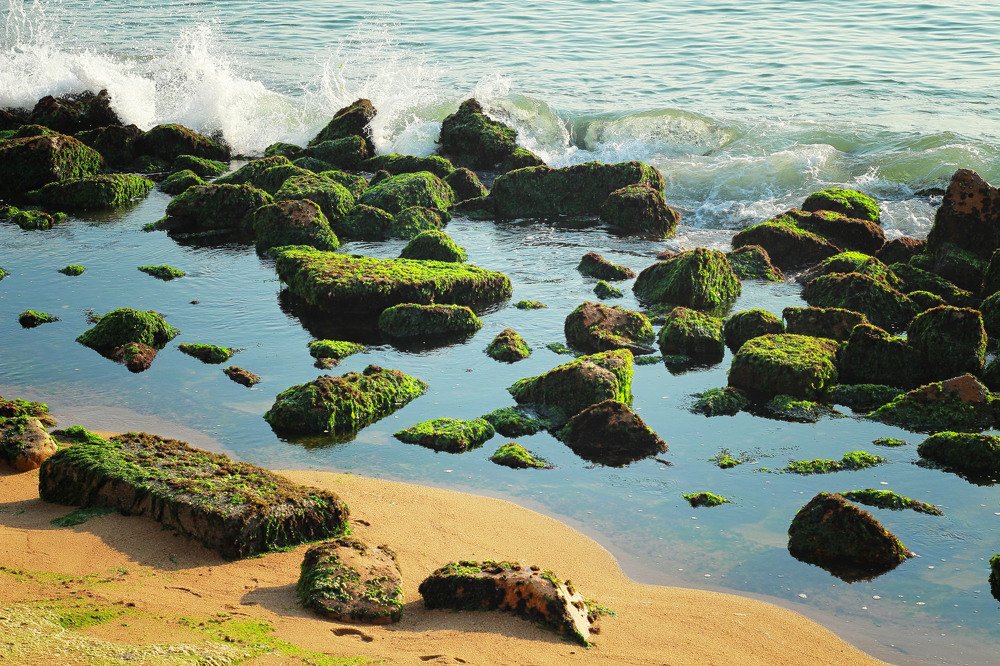 Photograph by Людмила Савчук