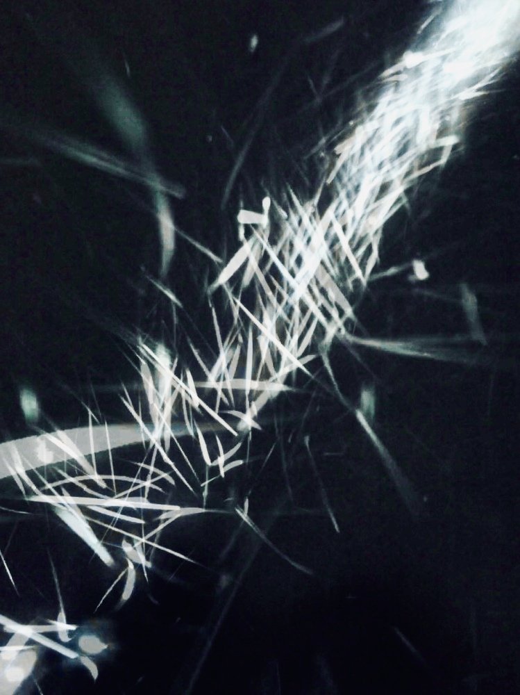 Photograph by Макс Карпович