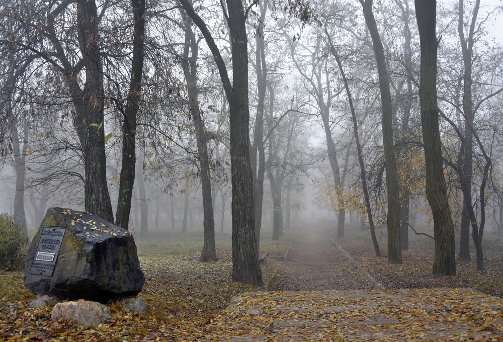 Photograph by Елена Куннова