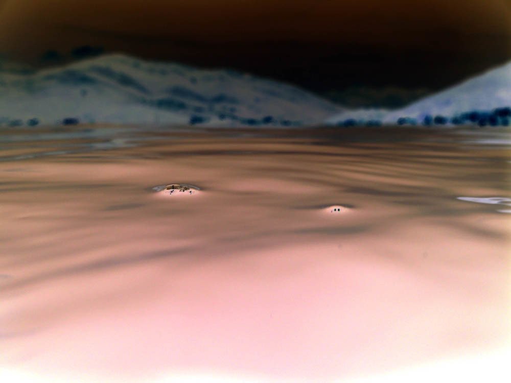 Photograph by Marina Razheva