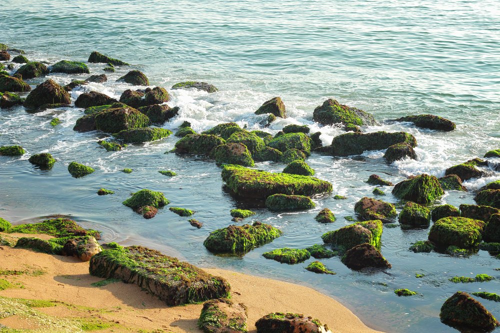 Photograph by Людмила Савчук