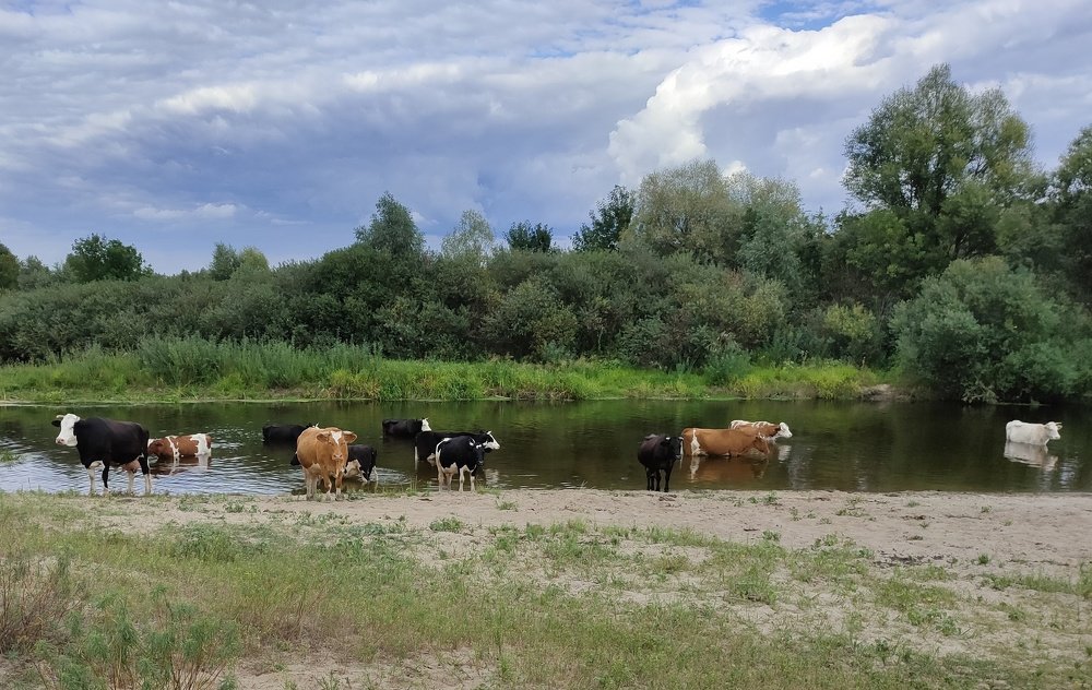 Photograph by Елена Куннова