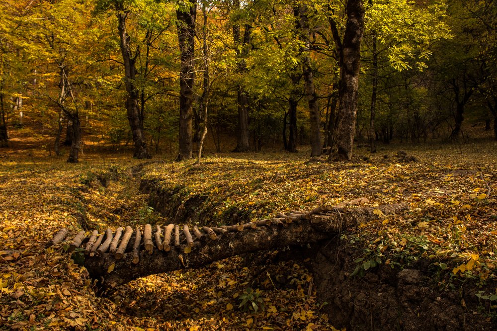 Photograph by Тигран Гукасян