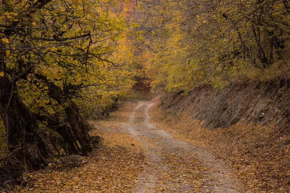 Photograph by Тигран Гукасян