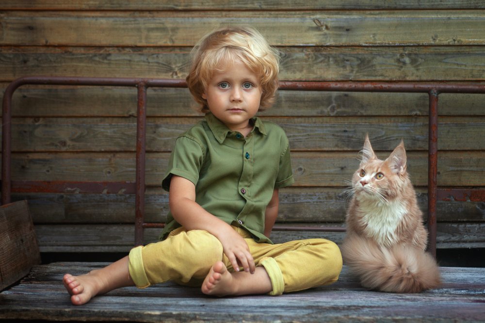 Два товарища.