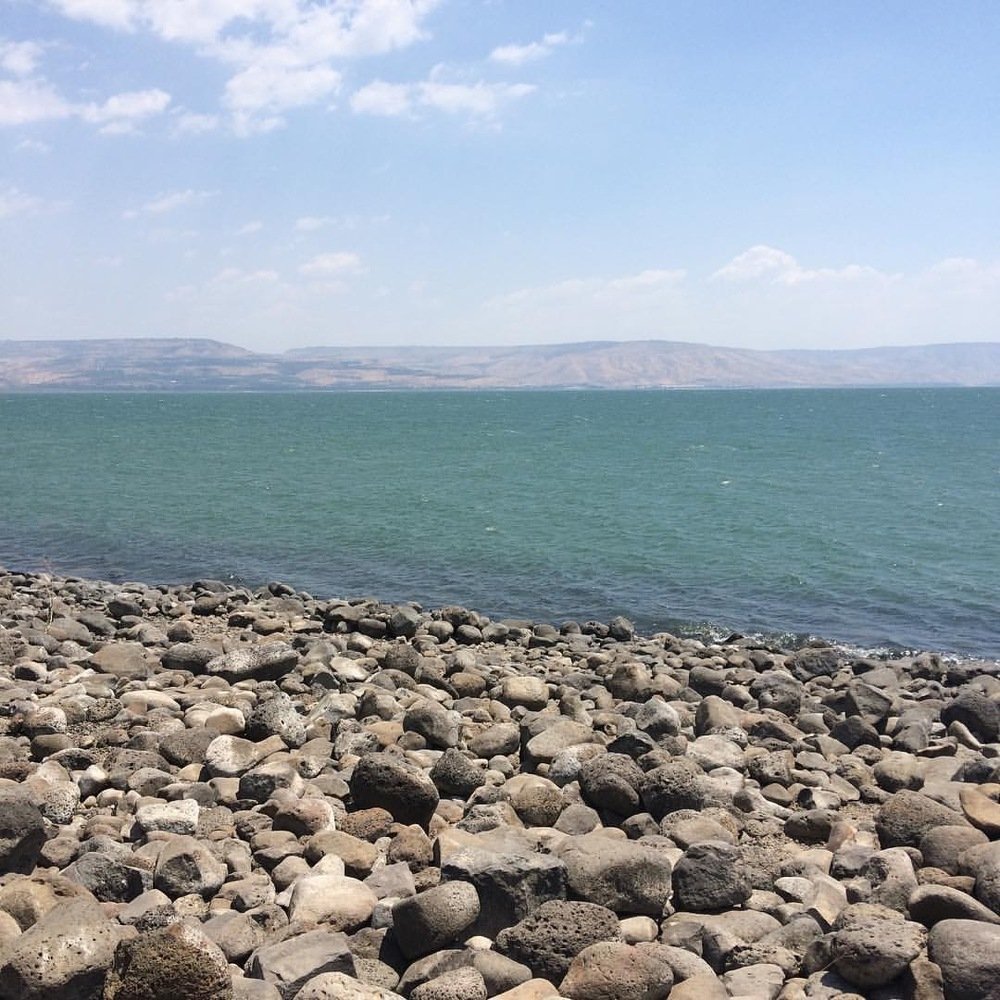 Photograph by Алина Смирнова