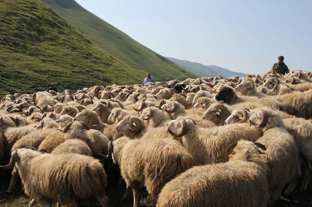 Photograph by Хасаймирза Хасаймирзаев