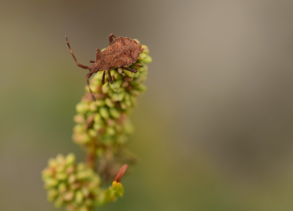 Фотография автора Iwona Moskalik