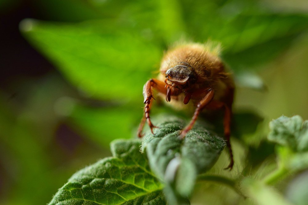 Фотография автора Iwona Moskalik