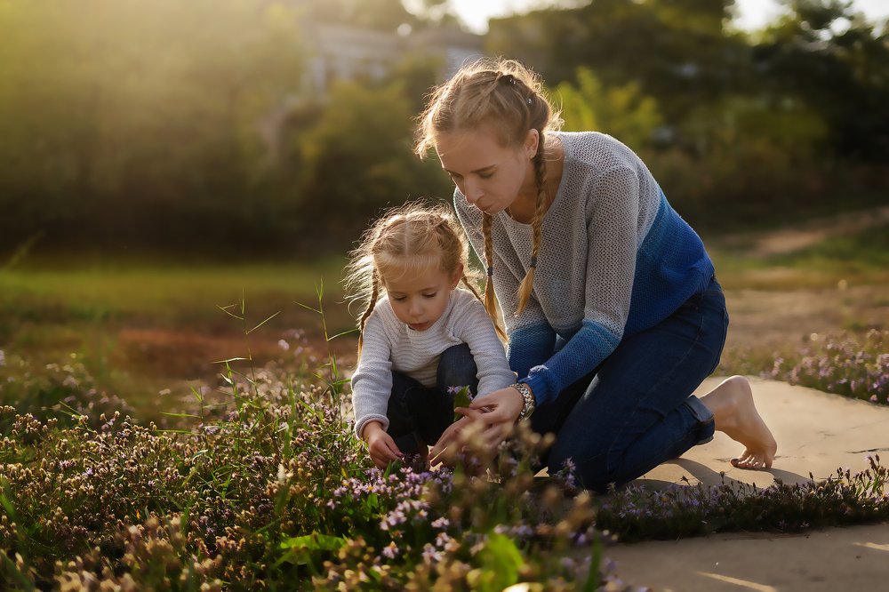 мамины цветы