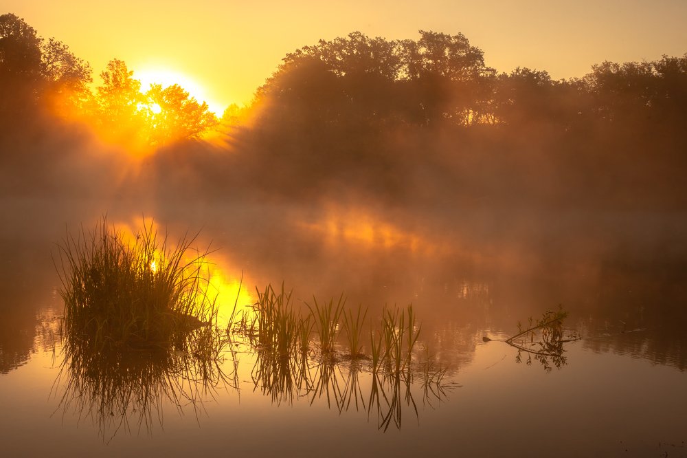 Photograph by Кобец Дмитрий