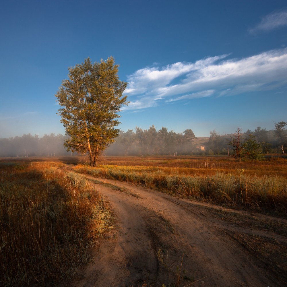 Photograph by Кобец Дмитрий