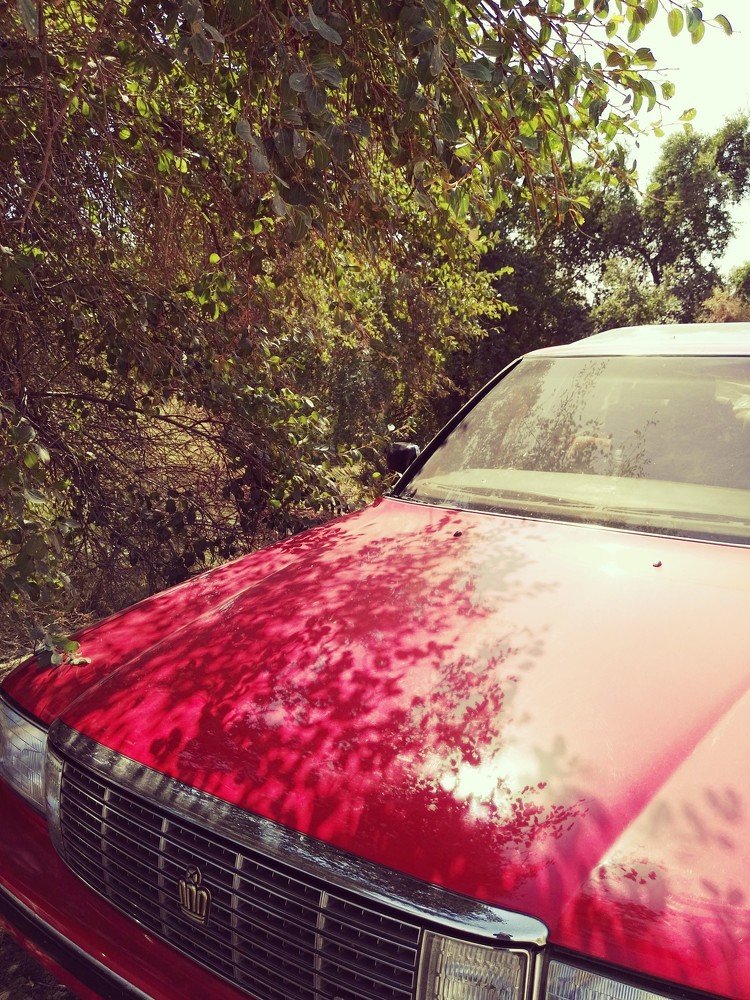 Photograph by Noora HT