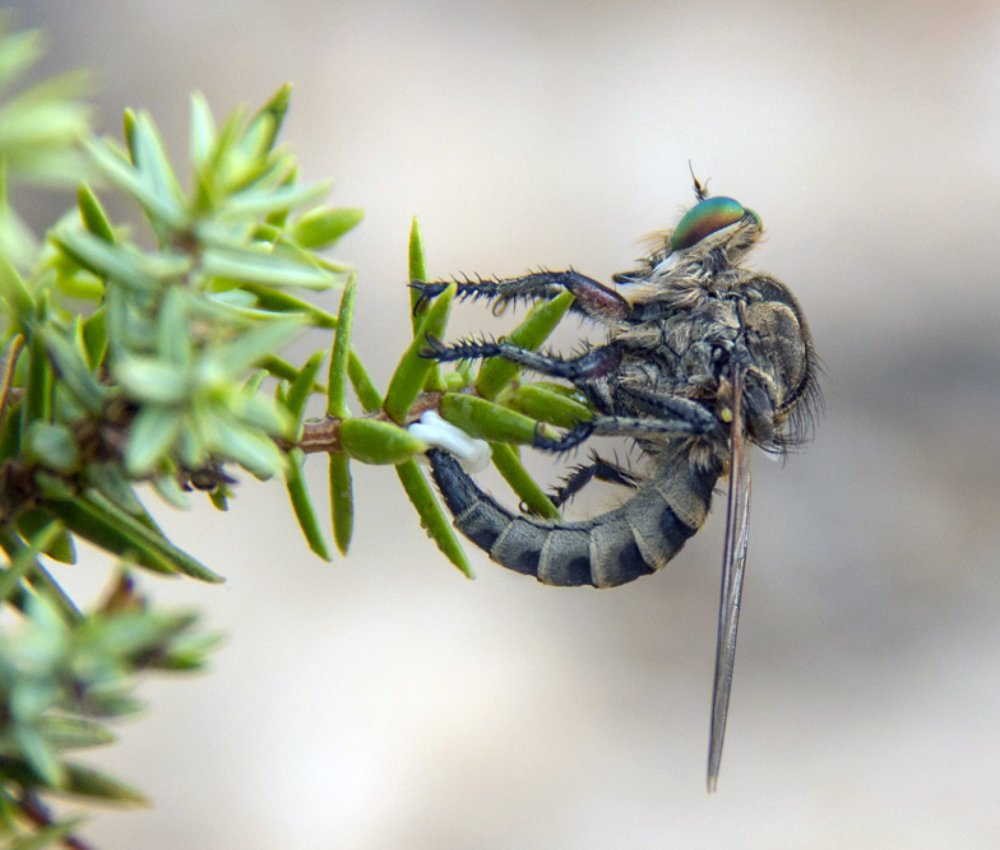 Фотография автора Ismail SAIDI