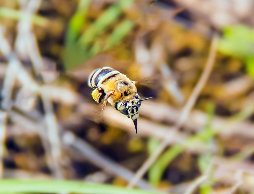 Фотография автора Ismail SAIDI