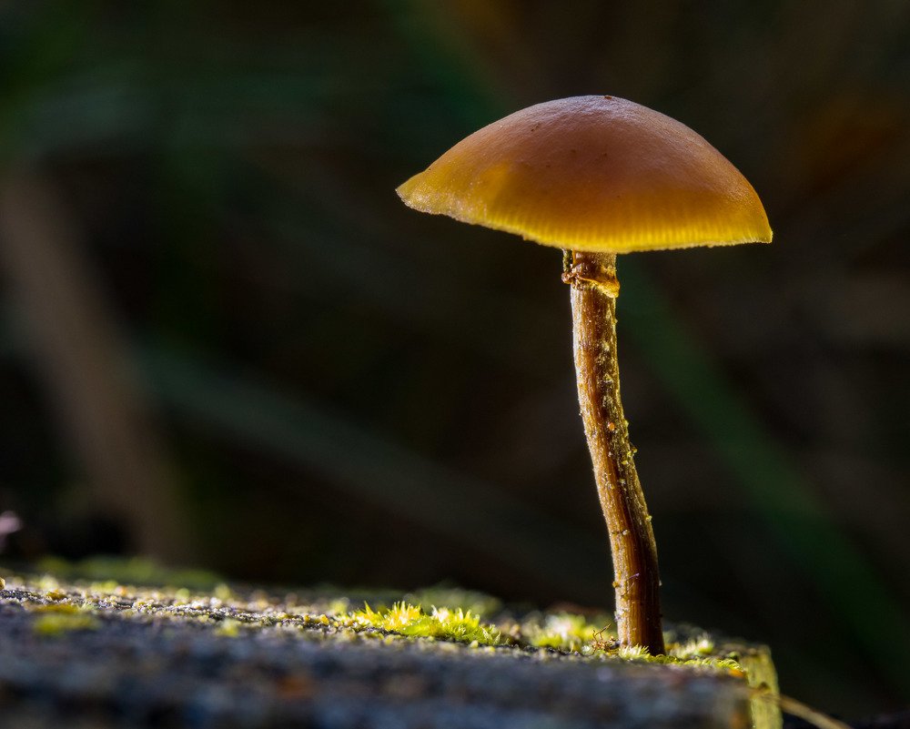 Photograph by Александр Есликов