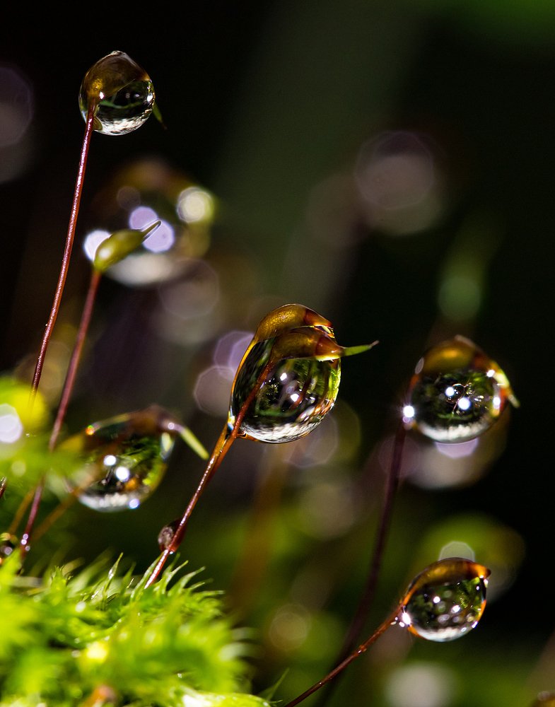 Photograph by Александр Есликов