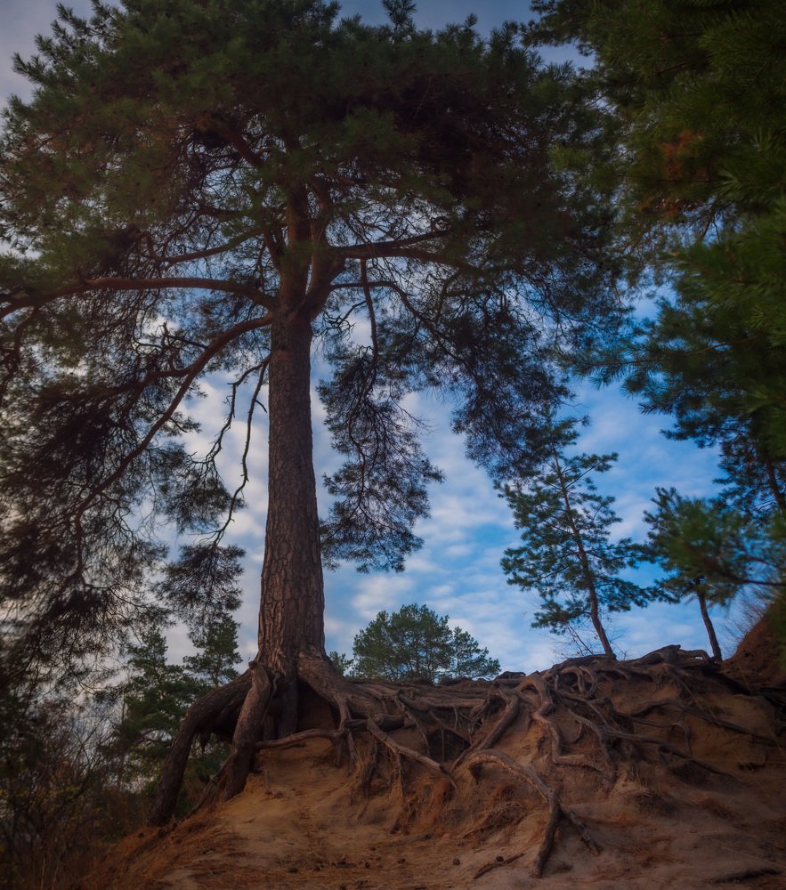 Photograph by Анна Хмырова