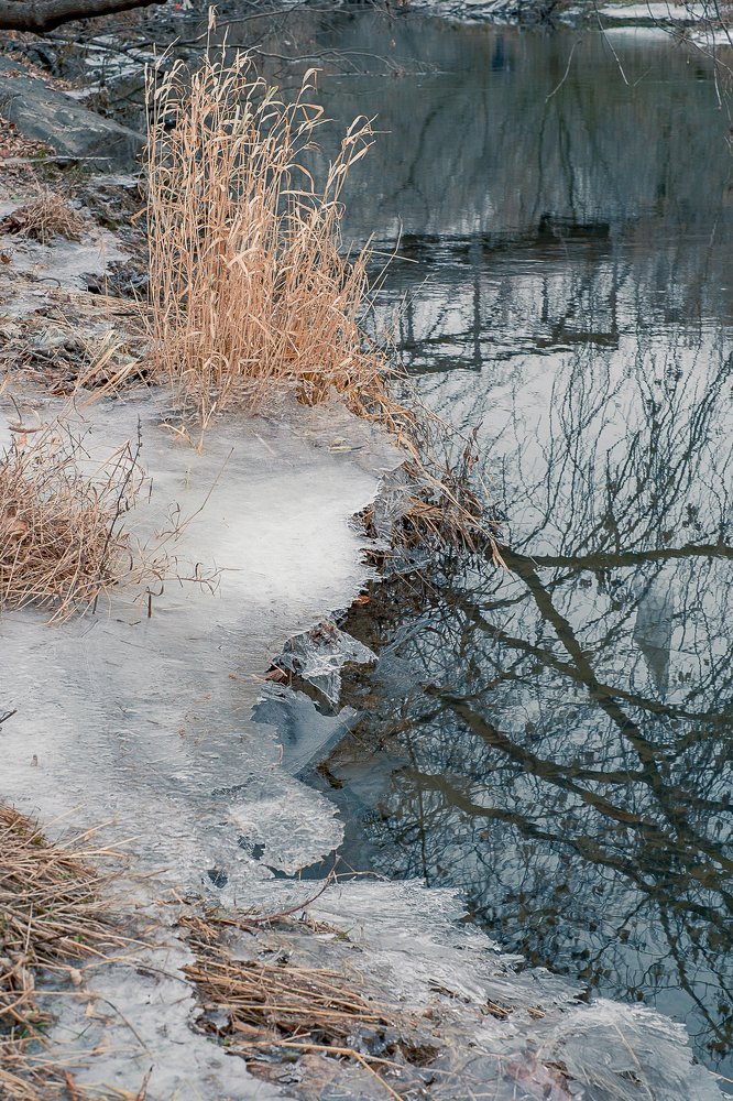 Photograph by Павел Синегубов