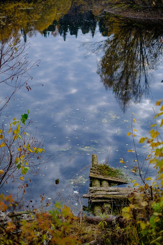 Photograph by Павел Синегубов