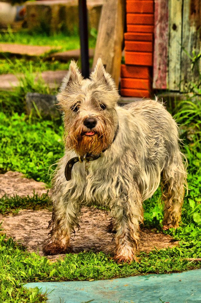 Photograph by Станислав Мутовин