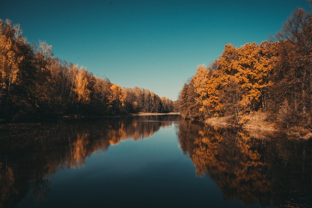 Photograph by Алексей Тихонов