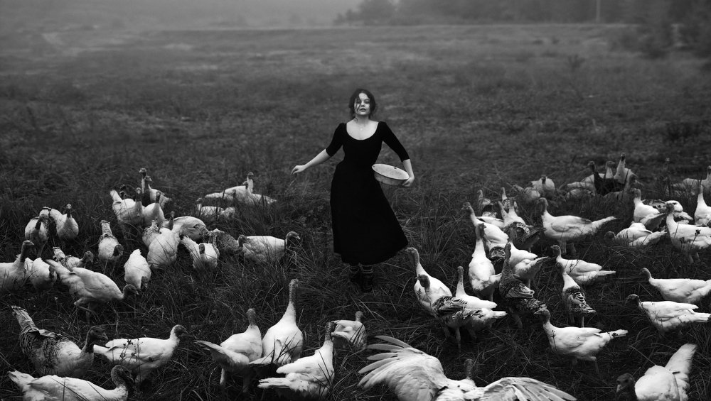 Photograph by Виктория Краснобородько