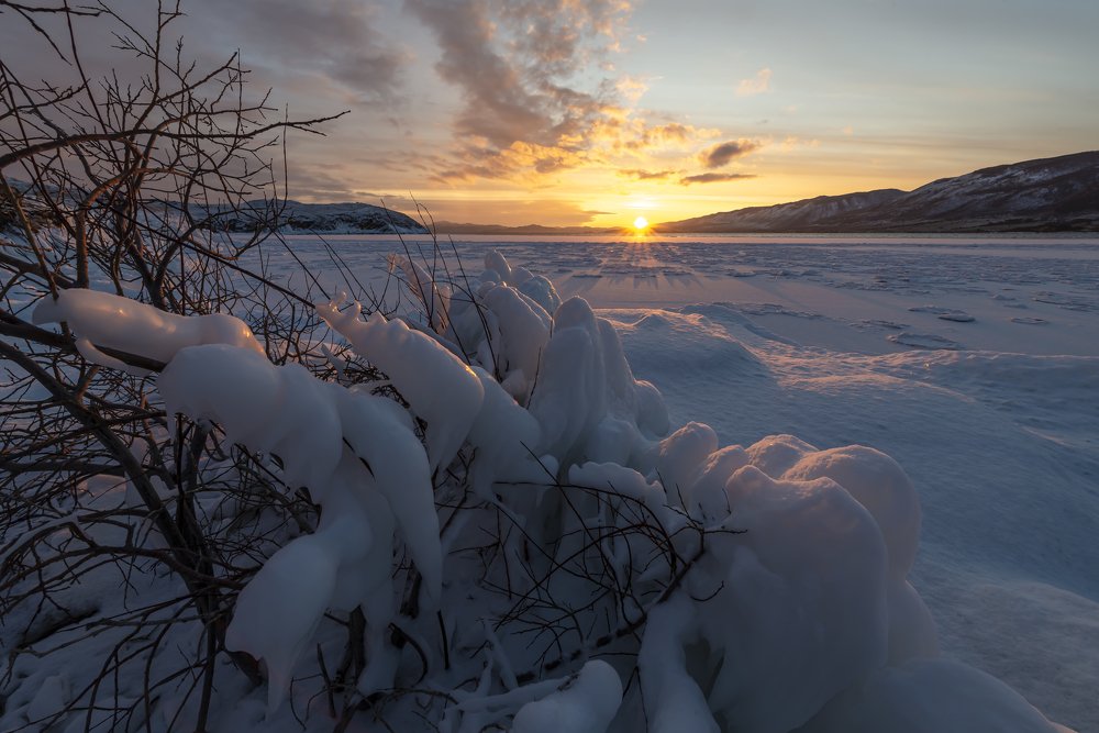 Photograph by Маргарита Фискина