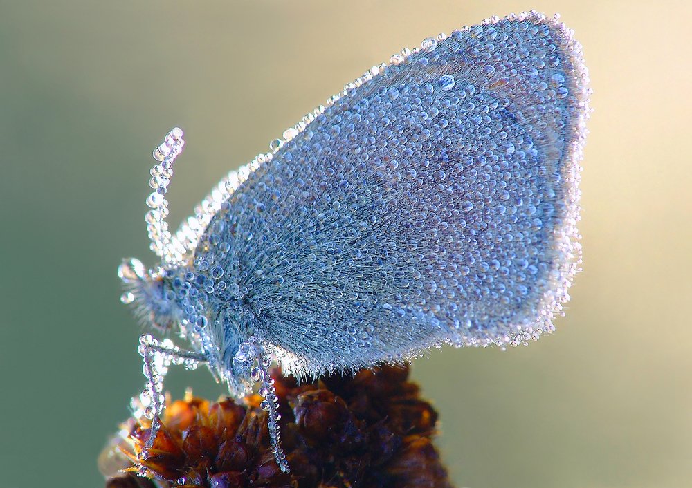 Photograph by Сергей Щербина