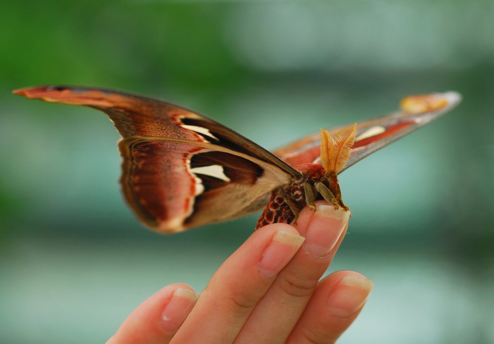 Photograph by Сергей Щербина