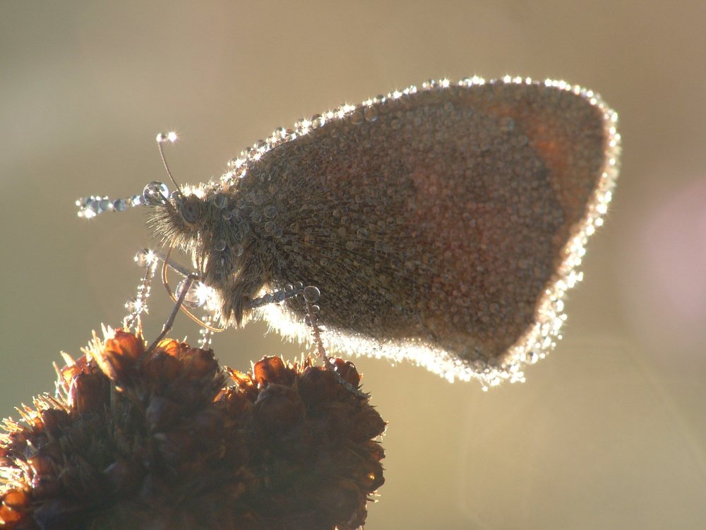 Photograph by Сергей Щербина