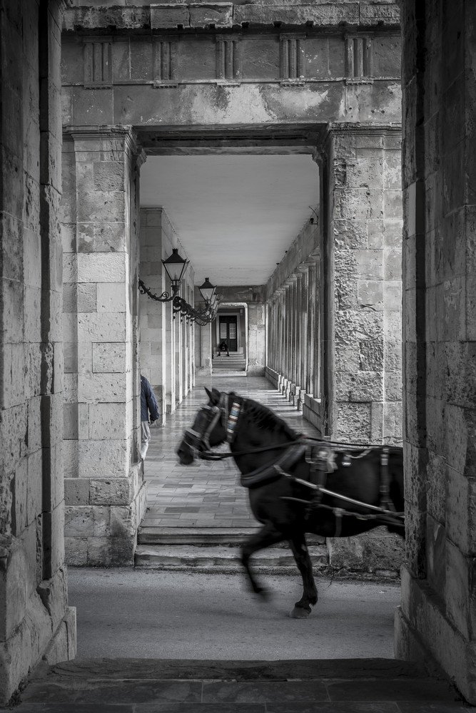 The Passing of the Horse