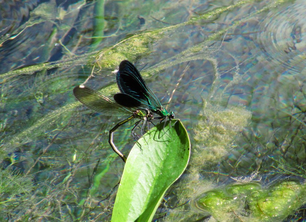 Photograph by Тихонина Анна