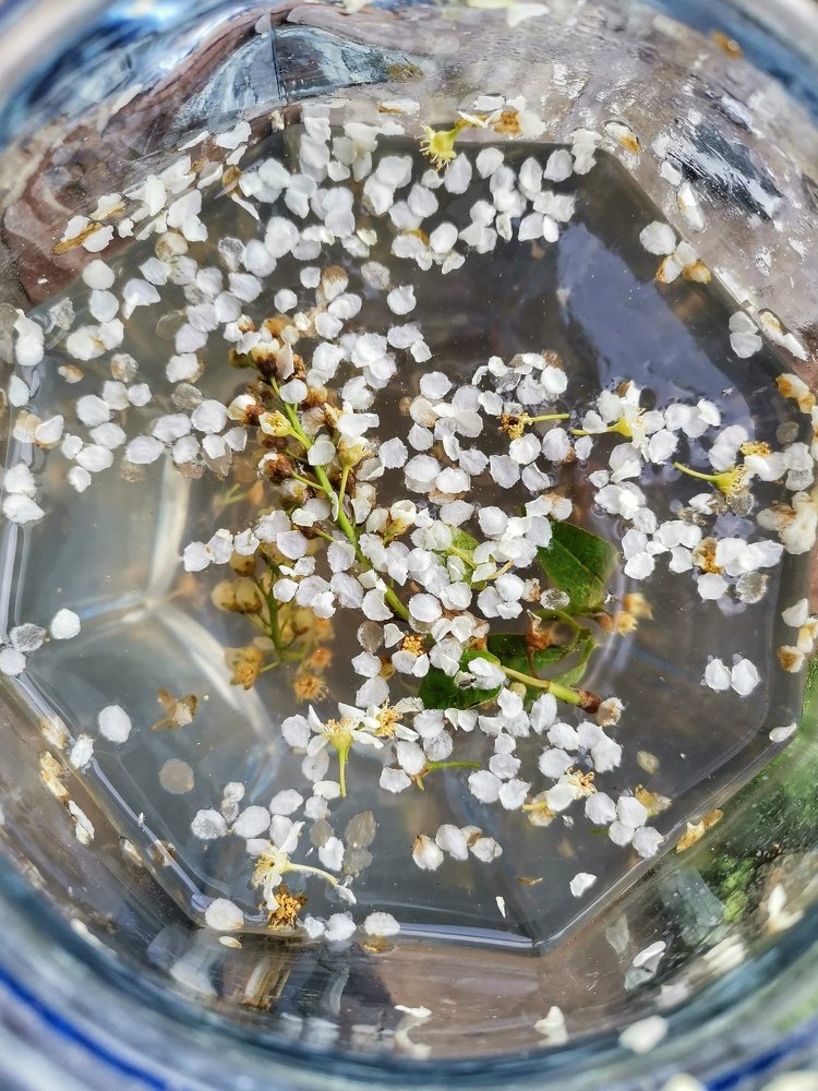 Photograph by Виктория Кузина