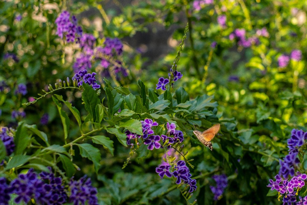 Photograph by Павел Синегубов