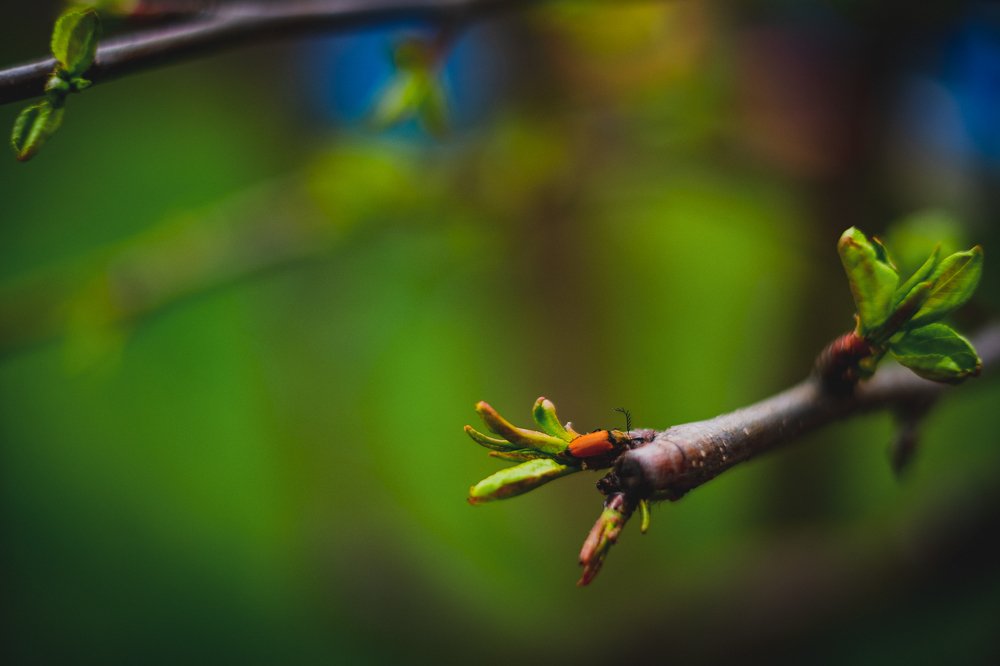 Photograph by Павел Синегубов