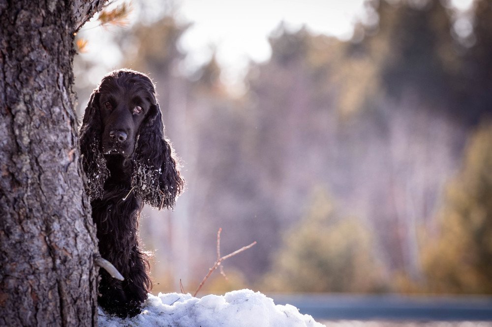 Photograph by Наталья Степанова