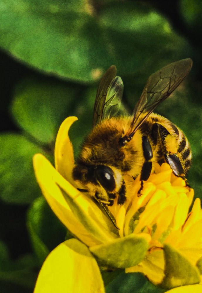 Photograph by Саламбек Ханкушов