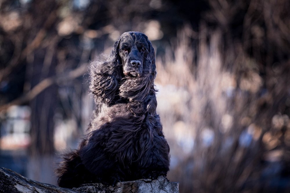 Photograph by Наталья Степанова