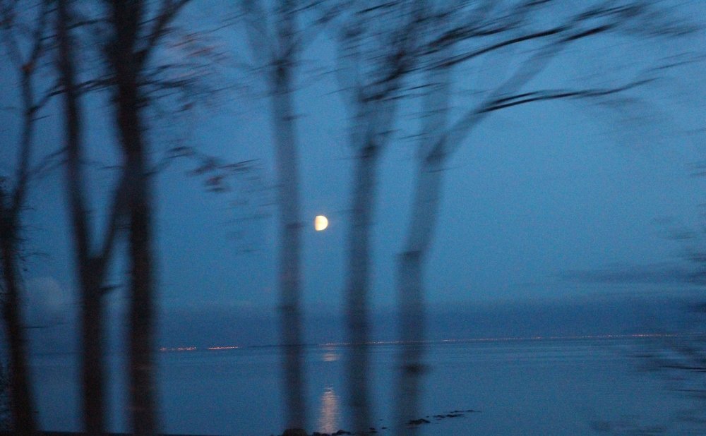 Photograph by Валентина